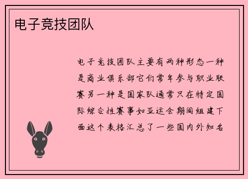电子竞技团队